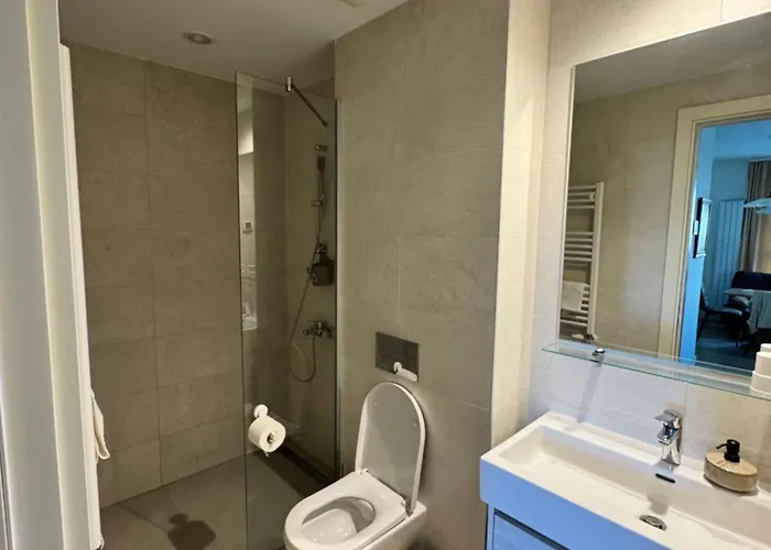 公寓 Waterfront Carmen 贝尔格莱德